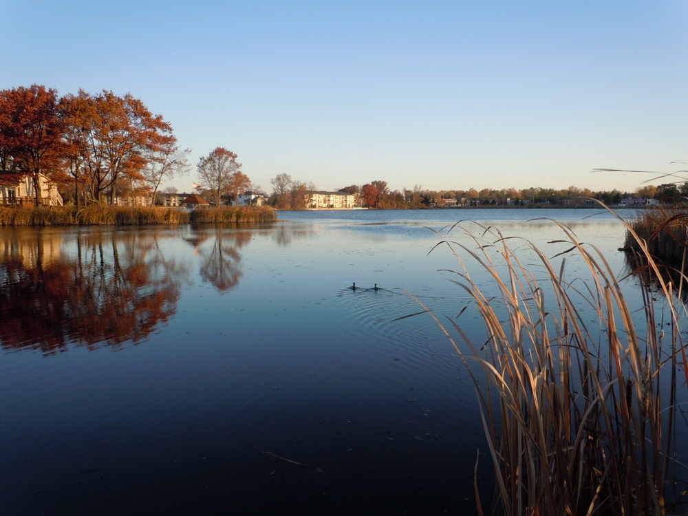 Buckhorn Lake Orion Township Michigan